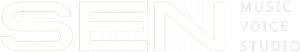 Клиент SEN